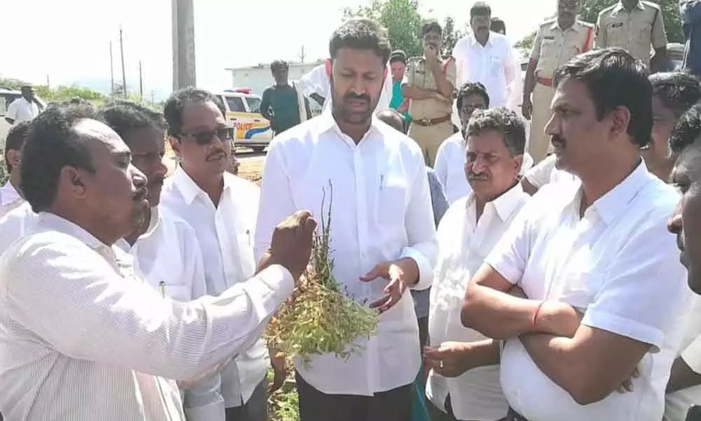 The government will extend all help to farmers: Kadapa MP Avinash Reddy
