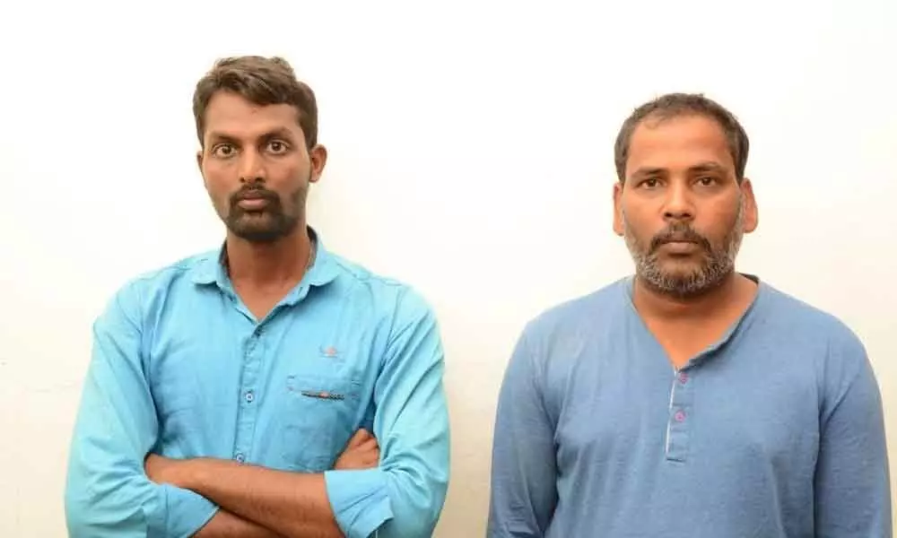 Hyderabad: Interstate red sander smuggling racket busted