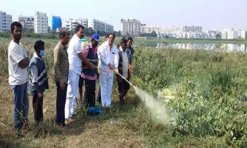 Anti-mosquito drive launched in Pragatinagar Ambar Cheruvu