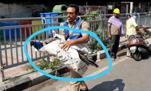 Peacock found dead on road in Hyderabad