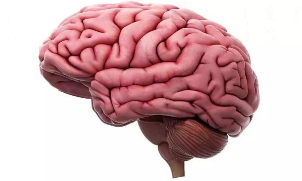 Brain region involved in conscious visual perception found