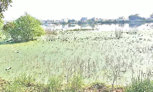 Kapra: Dammaiguda Lake turns into cesspool