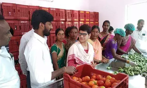 Central govt official inspects market yard