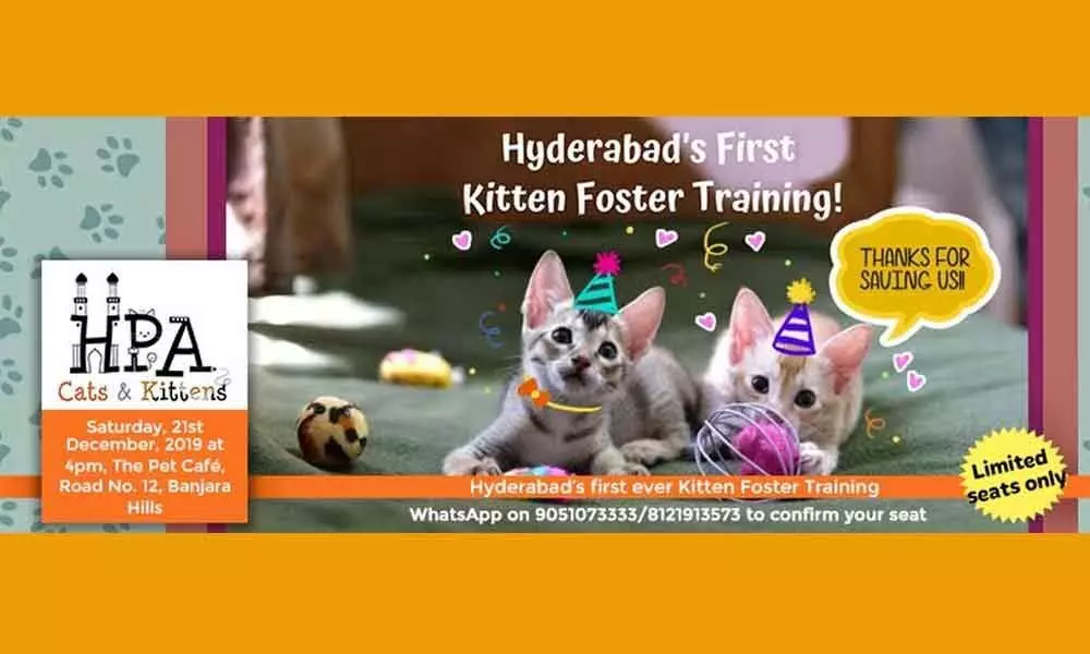 Hyderabads first kitten fostering training workshop