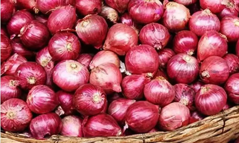 Onion saga and its teary tone