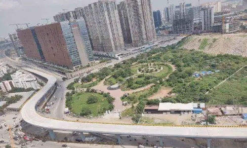 The expert committee submits the report to govt on Biodiversity flyover accidents, identifies fault in construction