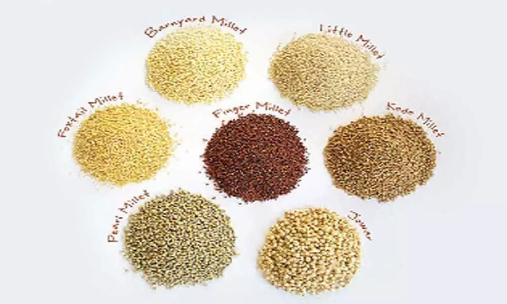 Millets can boost child growth by 50%: Study
