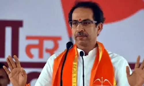 Will Thackerays Alladin Lamp light up farmers lives?