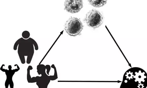 People with less muscle, more fat may have low thinking flexibility with age