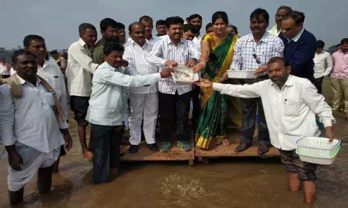 MLA Dr M Anand promotes fish & prawn farms