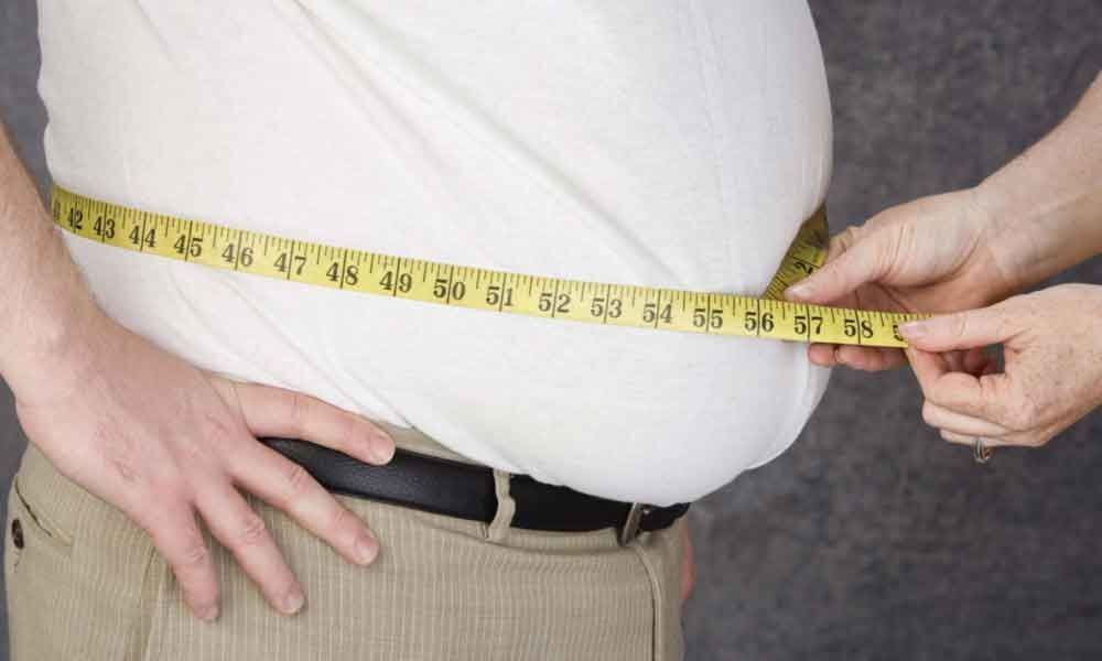 Overeating may be the main cause of obesity, not less physical activity ...