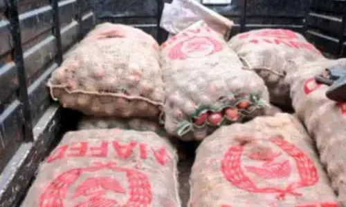 Govt distributes Onions for subsidized price of Rs 25 per kg in Tuni