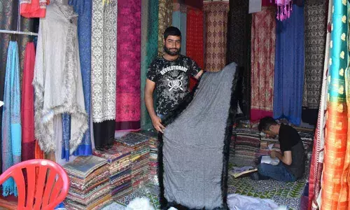 Madhapur: Good response to crafts mela