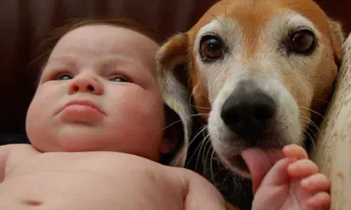 Children exposed to dogs less likely to develop schizophrenia later in life