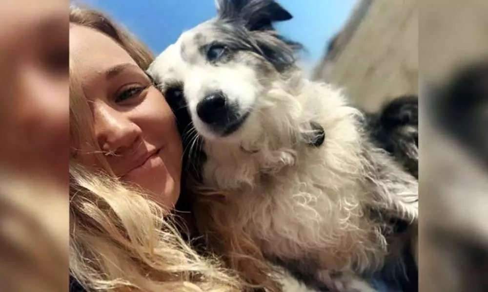 San Francisco woman hires plane & offers Rs 5 lakh reward to find her stolen dog