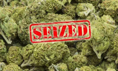 Rs 25 lakh worth ganja seized, four held