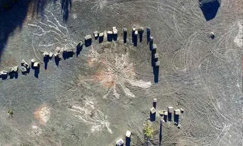 New York: Worlds oldest fossil forest uncovered in the US