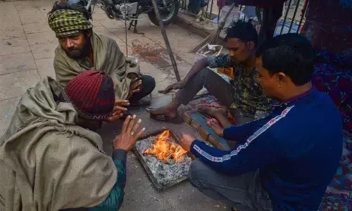 North India reels under cold wave