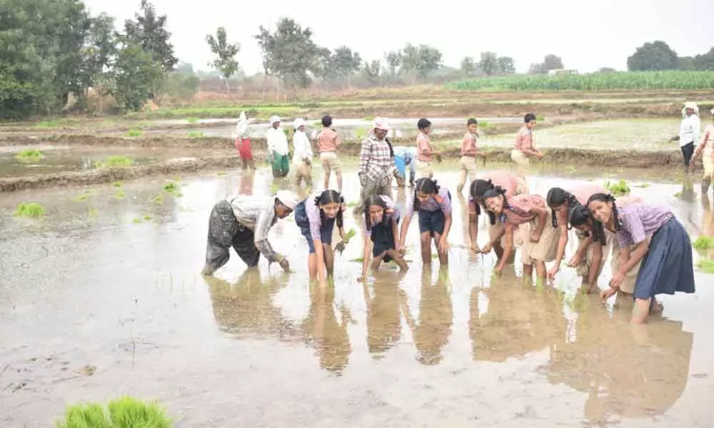 Warangal: Ekashila Public School Students make their day with farmers