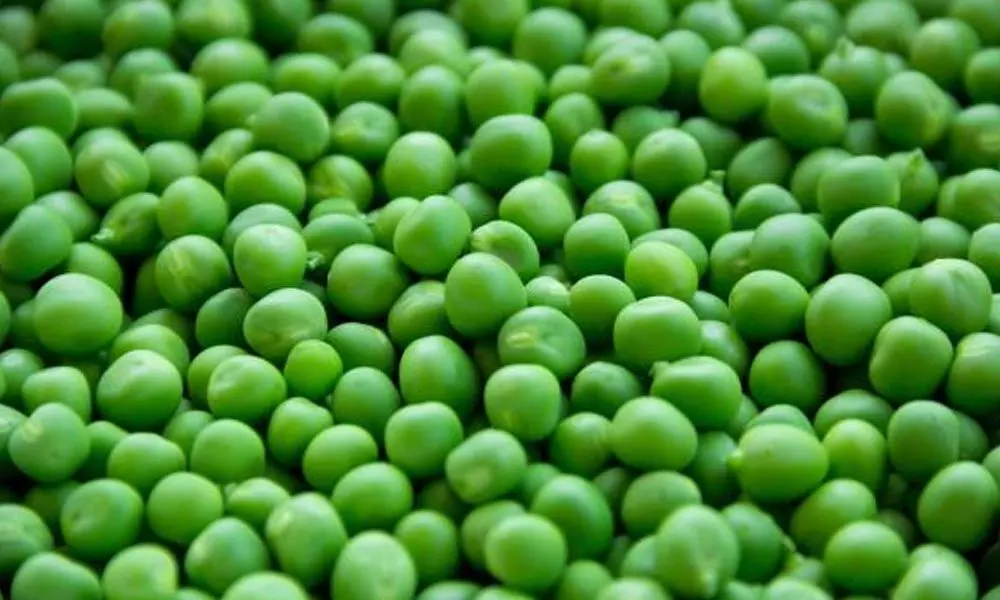Government imposes minimum import price of Rs 200 per kg on peas