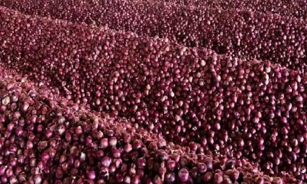 India gets 790 tonnes of onion