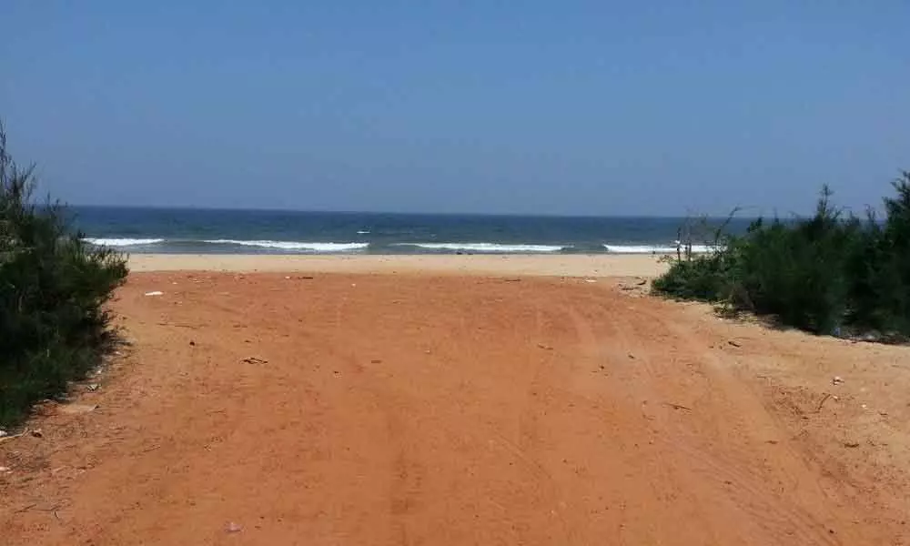 Andhra government plans Rs 10k-crore seaport at Ramayapatnam