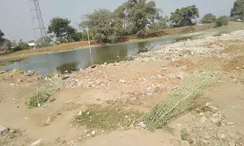 Manoharabad: Haritha Haram drive wilts in KCRs constituency