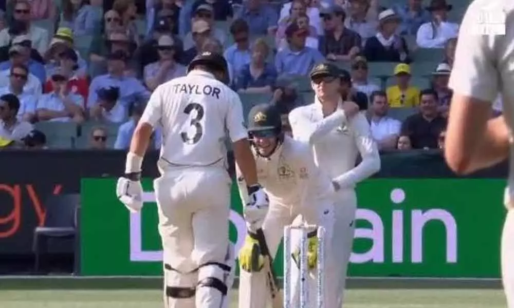 AUS vs NZ: He knows the bloke in the truck, Tim Paine hilariously sledges Ross Taylor (Video)
