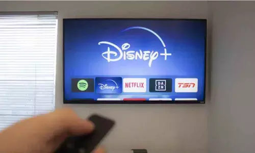 Disney+ Service Will Soon Be Available for Tesla Theatre, Elon Musk