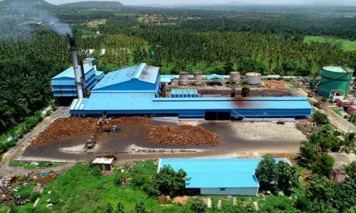 Erstwhile Khammam leads in oil palm, chillies cultivation