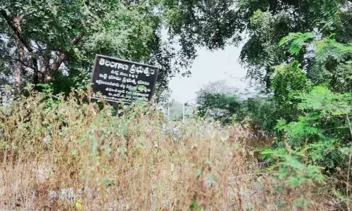 Saket residents demand biodiversity park
