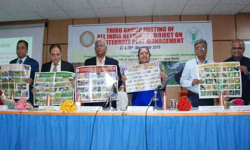 There are only 26 tigers in Telangana, says Principal Chief Conservator of Forests