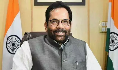 Bushes of lies and mountain of truth