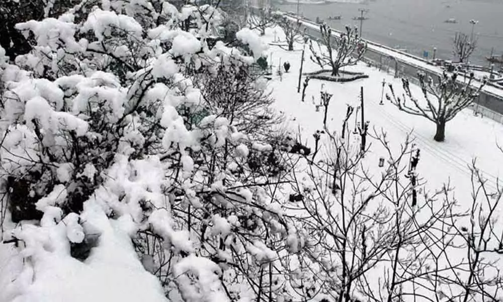 Snow for Kashmir on December 31, Srinagar shivers at minus 5.8 degree Celsius