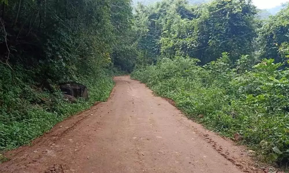 Kakinada: Roads development neglected in tribal valley