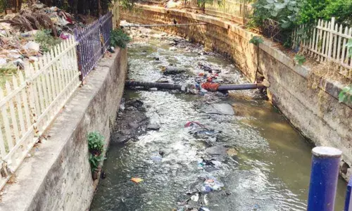 Trash traps fixed at Krishna Kanth Park