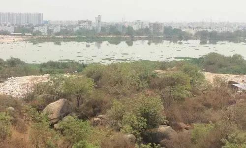 Mosquito menace near Amber Lake in Kukatpally