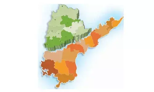 TS, AP should stand by Telugus in North-East