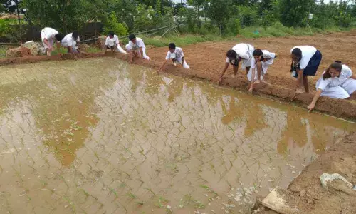 Hyderabad: Organic farming at Delhi Public School held