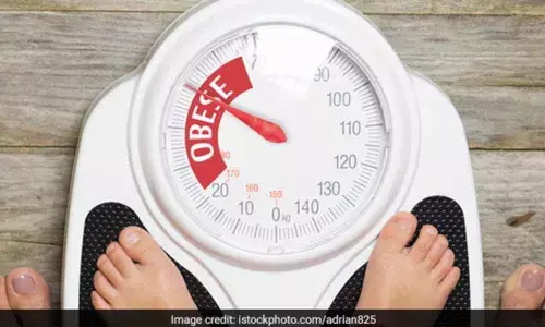 Obesity can affect childrens working memory