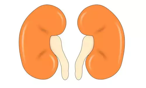 New York: Novel discovery in gene therapy to treat kidney diseases