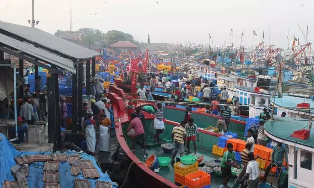 Bandar Fishing Harbour to be developed soon, govt directs officials to prepare DPR