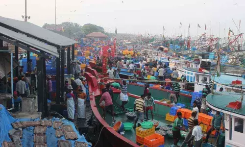 Bandar Fishing Harbour to be developed soon, govt directs officials to prepare DPR
