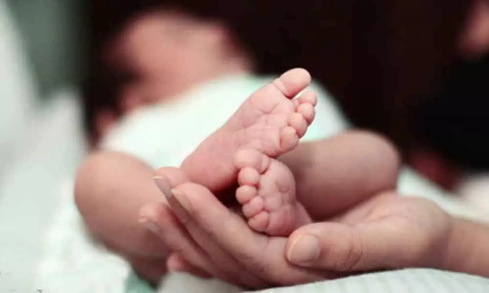 Infant deaths in Kota hospital rises to 103