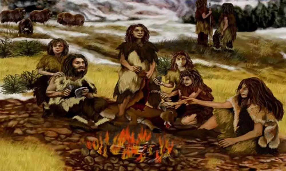 Earliest evidence of humans eating starchy food found