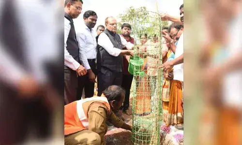 Palle Pragathi phase-II launched across State