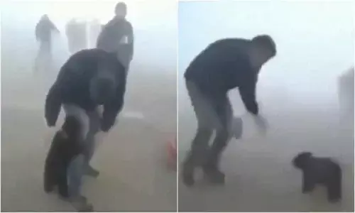 Watch: Cute bear refuses to let go of rescuer in viral video