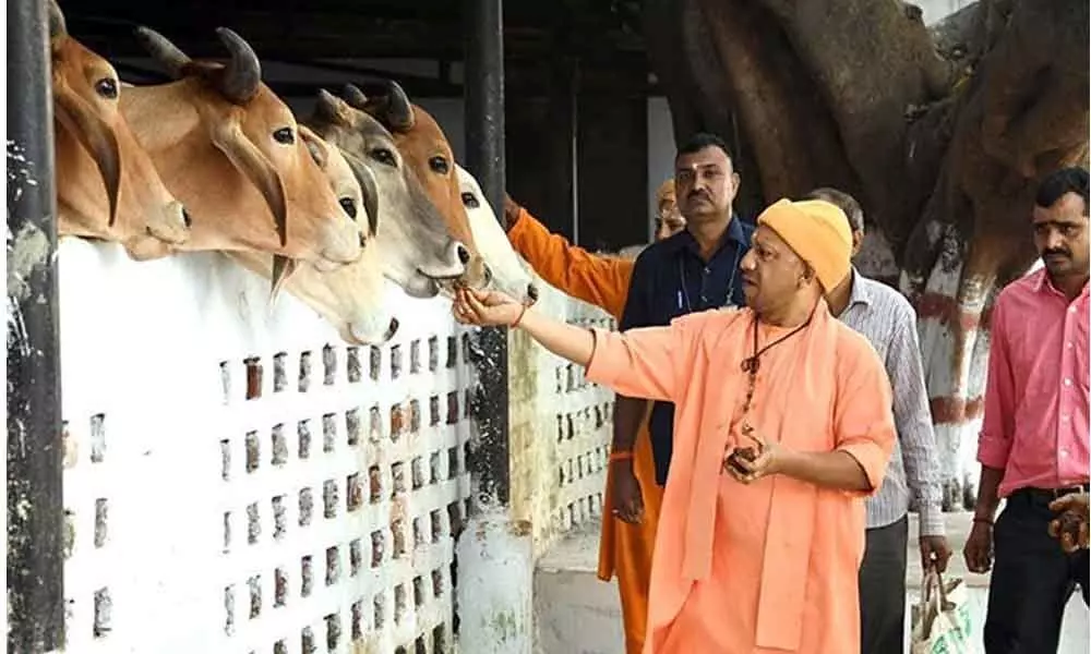 Wearing Saffron Not Enough, Follow Religion Too: Congress Swipe At Yogi Adityanath