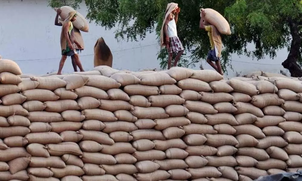 The New Rice War: China eats into big African markets secured by India