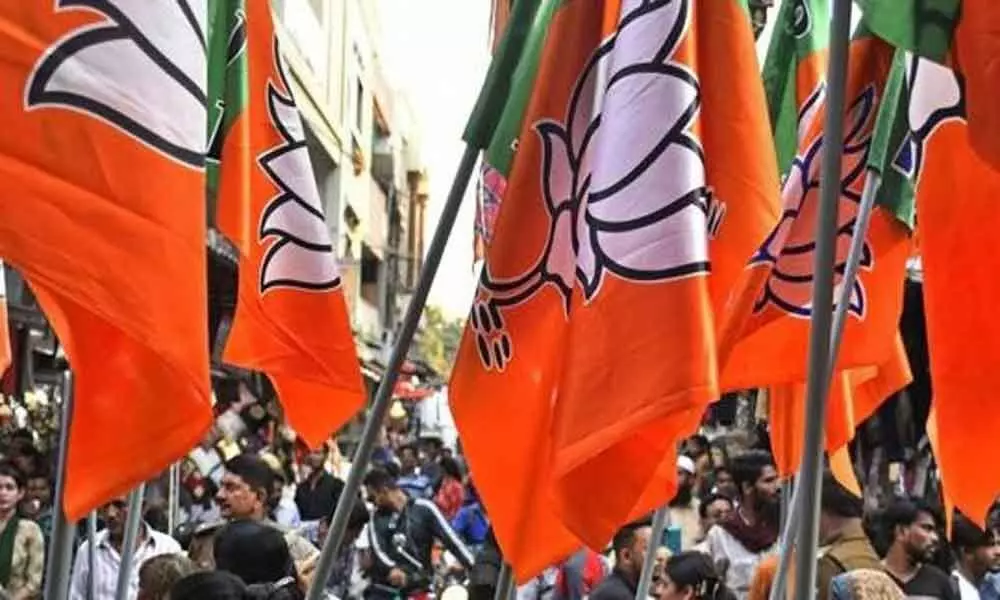 Heres why BJP cant have Rajya Sabha majority in 2020
